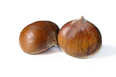 Parlak kahverengi derili, yenilebilir iki kestane ve temiz beyaz arka planda hafif kabartma çizgileri. Doğal parlatıcı ve sıcak tonlar sonbahar tarifleri için iştah açıcı bir arkaplan oluşturur