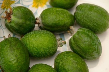 Beyaz seramik kasede açık arkaplanda taze yeşil feijoalar. Vitamin ve aroma açısından zengin doğal tropikal meyveler sağlıklı beslenme ve ekolojik gıda reklamları için mükemmeldir..