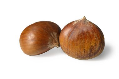 İki yenilebilir kestanenin stüdyo çekimi. Temiz beyaz arka plan ve mevsimlik fındık reklamları ve sağlıklı atıştırmalıklar için zarif kabuk dokusu..