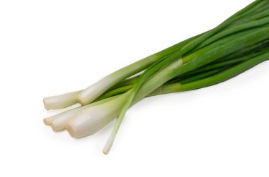 Taze taze taze soğan (yeşil soğan) demeti beyaz arka planda, yemek, yemek ve sağlıklı yemek fotoğrafçılığı için ideal..