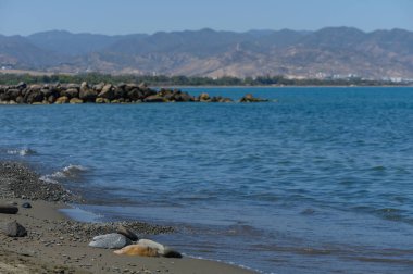 Kıbrıs 'ta Akdeniz' in arka planda dağlarla güzel bir fotoğrafı.