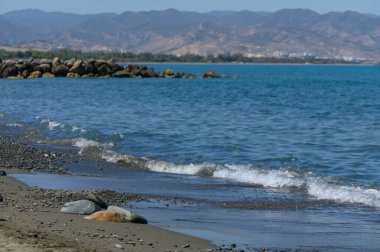 Akdeniz 'in Kıbrıs' taki fotoğrafı, arka planda dağlar ile sıcak güneş ışığı banyosu..