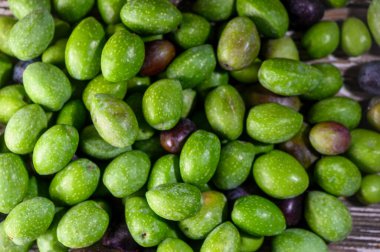 Dağınık Kıbrıs zeytinlerinden oluşan bir zemin, gıda ve Akdeniz kültürüne yönelik doğal cazibelerini vurguluyor.