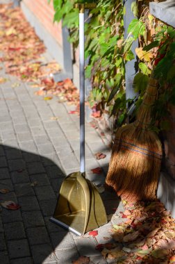 Yere düşmüş sonbahar yapraklarıyla kaplı bir süpürge ve faraş. Temizlik, temizlik ve sonbahar mevsimi kavramı..