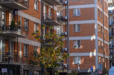 Sarmaşık ve sarı-turuncu yapraklı yabani üzümle kaplı rahatlatılmış duvarlarla kaplı koyu kırmızı tuğladan bir ev. Sıcak gün ışığı ve yaprak gölgeleri fotoğraf ve tasarım için pitoresk bir zemin oluşturur..