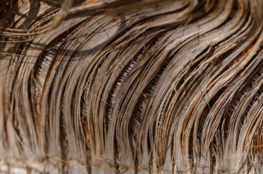 Doğadan esinlenilmiş bir doku arkaplanı olarak ideal.