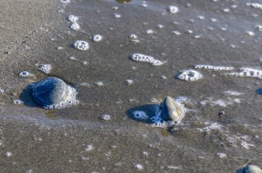 Kıbrıs sahilinin kumlu sahillerine dağılmış renkli çakıl taşları ve küçük deniz taşları, sakin Akdeniz dalgaları yakınlarda dalgalanırken.
