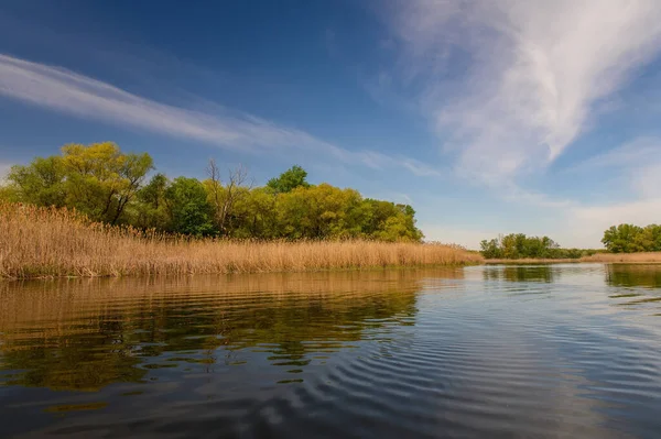 Dinyeper 'ın su baskınlarının manzarası bir bottan görünüyor, yemyeşil, sakin su ve sakin nehir manzarasını yakalıyor..