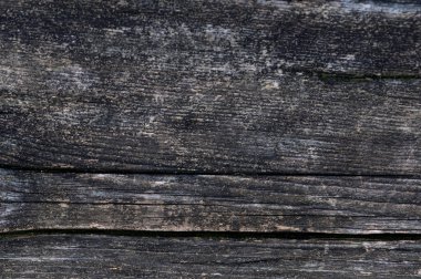 Çatlak ve doğal tahılları olan eski bir tahta tahtaya yakın plan, tasarım, zanaat ve doğa temalı projeler için mükemmel bir kırsal arka plan.