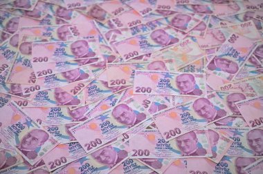 Geniş bir banknot koleksiyonu düz bir yüzeyi kaplıyor. Renkli tasarımlarını ve karmaşık detaylarını sergiliyor..