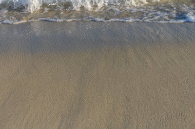 Yumuşak dalgalar, huzurlu bir sahil manzarasında sabahın erken saatlerindeki ışığı yansıtan pürüzsüz kumların üzerinde süzülür..