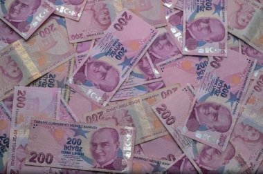 Türk lira banknotlarından oluşan canlı bir koleksiyon, renkli tasarımlarını ve kültürel önemini gözler önüne seriyor..