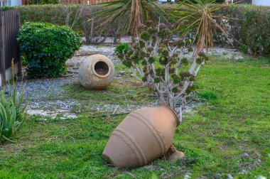 Geleneksel olmayan çömlekler yeşil bitkileri destekler, açık mavi gökyüzünün altında canlı bir bahçe atmosferi yaratır..