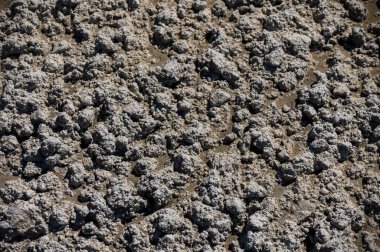 Doğal dokuya sahip beton yüzeyin yakınlaştırılması. Sanayi, inşaat, mimari ve minimal arkaplan fotoğrafçılığı için ideal.