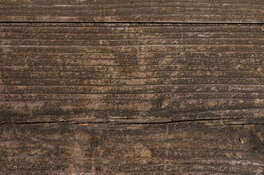 Engebeli bir ağaç gövdesinin makro çekimi. Karmaşık ahşap tahıl ve desenler sergiliyor. Köy geçmişi ve doğa temalı projeler için mükemmel..