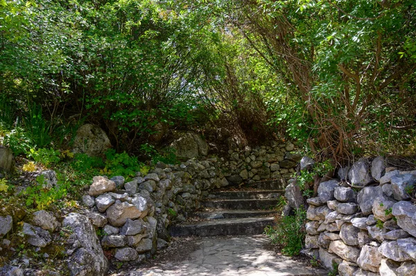 Kuzey Kıbrıs 'taki görkemli bir ortaçağ kalesi olan St. Hilarion Kalesi' ni keşfetmek, çarpıcı manzaralar ve Haçlı Seferleri 'ne dayanan zengin bir tarih sunmak.
