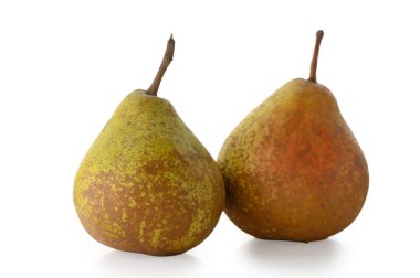 Pair of seasonal autumn pears with rich golden color and natural stems, professionally arranged on clean white background. Perfect for harvest-themed photography.