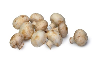 Saf Beyaz Arkaplan 'da Taze Düğme Mantarı Agaricus bisporus. İzole Resim.