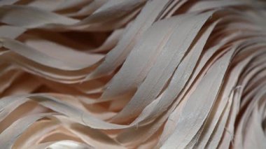 Geleneksel bir Gürcü Noel süsü olan Chichilaki 'nin aşırı yakın çekim makro görüntüleri. Çekim, elle oyulmuş, kıvrımlı ahşap talaşlarının karmaşık dokusuna odaklanır (genellikle kurutulmuş ahşap talaşları).