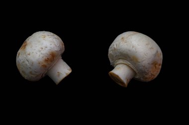 Taze beyaz düğmeli mantarlar siyah arka planda güzelce dizilmiş. Bu basit, zarif kompozisyon, dramatik kontrast karşısında mantarların doğal dokusunu ve saf rengini vurgular..