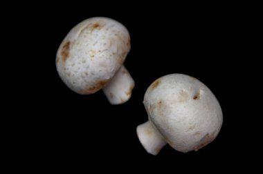 İki taze beyaz düğmeli mantar koyu siyah arka planda yan yana yerleştirilmiş. Bu minimalist kompozisyon temiz şekillere, pürüzsüz dokulara ve mantarların ince detaylarına odaklanır..