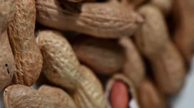 Uçan Kabuklu Dönen Fıstık Kapsülü