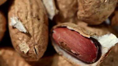 Kahverengi kabuklarındaki sıcak, kavrulmuş fıstıklar, güneşte kavrulmuş ahşap bir masada döner ve yuvarlanır. Hareket nazikçe, doğal, organik formları ve hem ahşap hem de fıstık kabuklarının dokulu yüzeyini vurguluyor. Sonbahar hasat hissi.,