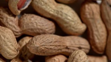 Kabuğundaki tek bir yer fıstığı kabuğu karanlık ve dengesiz bir zemine karşı keskin ve dinamik bir dönüşle yakalanır. Hareket, enerjiyi ve hareketi vurgulayan hafif bir bulanıklık yaratarak kapsülün eşsiz şekli ve kaba dokusuna odaklanır..