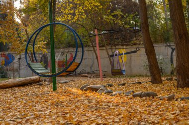 Sonbahar giysilerinde oyun parkı: sarı-turuncu yaprak halı, büyük taşlar ve doğal kütük oyun oynamak için doğal bir manzara yaratır.