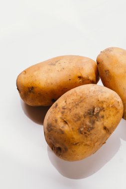 Beyaz arka planda taze çiğ patates.