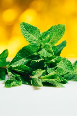 Beyaz-Sarı bulanık arka plan üzerinde taze nane yaprakları
