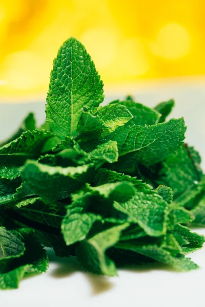 Beyaz-Sarı bulanık arka plan üzerinde taze nane yaprakları