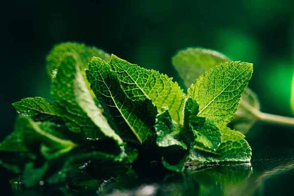 Foglie di menta fresca sullo sfondo sfocato verde scuro — Foto Stock