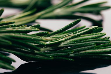 bohça dal biberiye karanlık ayna arka plan yakın çekim üzerinde