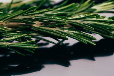 bohça dal biberiye karanlık ayna arka plan yakın çekim üzerinde