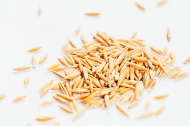 Beyaz bir arka plan üzerinde yulaf taneleri