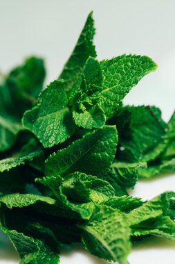 Beyaz arkaplanda taze nane yaprakları