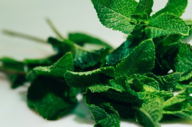 Beyaz arkaplanda taze nane yaprakları