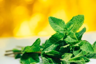Beyaz-Sarı bulanık arka plan üzerinde taze nane yaprakları