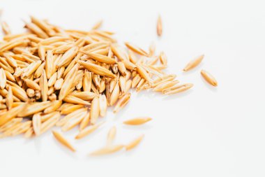 Beyaz bir arka plan üzerinde yulaf taneleri