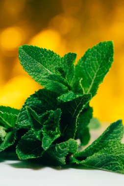 Beyaz-Sarı bulanık arka plan üzerinde taze nane yaprakları