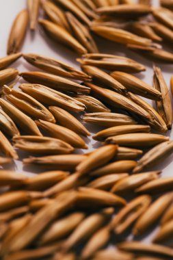 Beyaz bir arka plan üzerinde yulaf taneleri