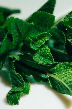 Beyaz arkaplanda taze nane yaprakları