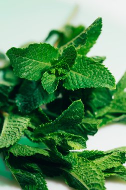 Beyaz arkaplanda taze nane yaprakları