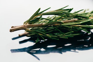 bohça dal biberiye karanlık ayna arka plan yakın çekim üzerinde