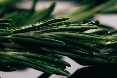 bohça dal biberiye karanlık ayna arka plan yakın çekim üzerinde