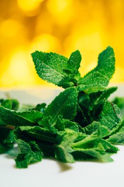 Beyaz-Sarı bulanık arka plan üzerinde taze nane yaprakları