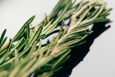 bohça dal biberiye karanlık ayna arka plan yakın çekim üzerinde