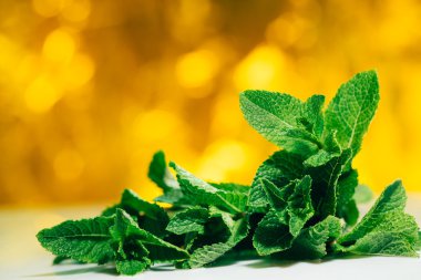 Beyaz-Sarı bulanık arka plan üzerinde taze nane yaprakları