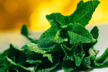 Beyaz-Sarı bulanık arka plan üzerinde taze nane yaprakları